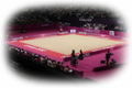 Praticável Competição completo "London" de Ginástica Rítmica, Certificado FIG, Gymnova
