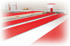Pista de corrida de Treino 25x0,66 m, Gymnova