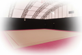 Carpete Treino GR 14x14 m e área 13x13 com fita autocolante, Gymnova