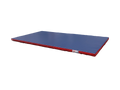 COLCHONETA DE RECEPCION 200x100x5 cm - ESPUMA 60 kg