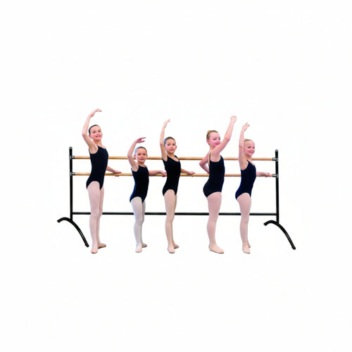 Barra Ballet Dupla Grupo