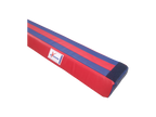 MINITRAVE